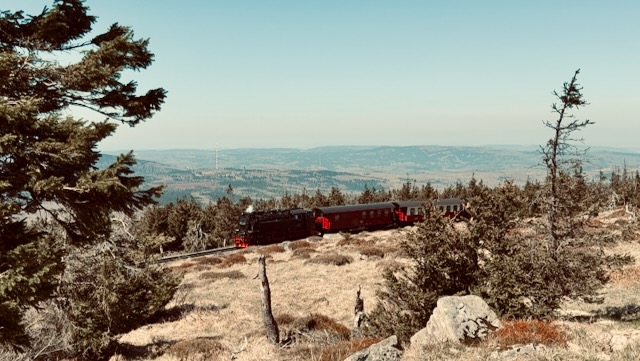 Brockenbahn — schmalspurige Dampflok auf dem Weg zum Brocken im Oberharz