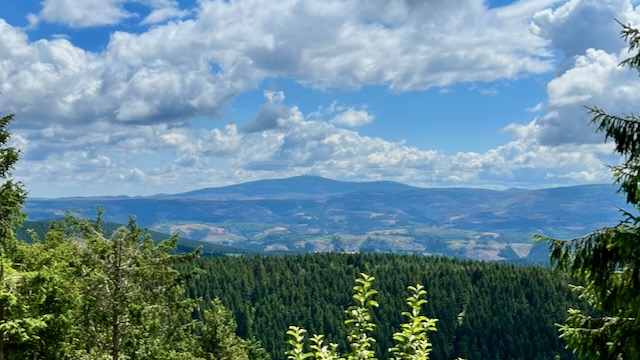 Weiter Blick vom Schalke über die Wälder des Oberharzes auf den Brocken